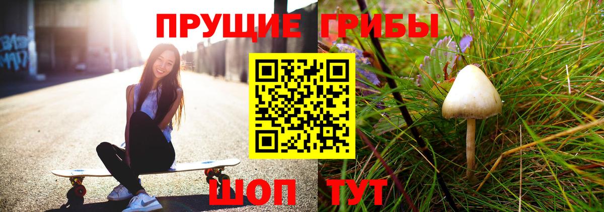 Псилоцибиновые грибы Psilocybine cubensis Евпатория