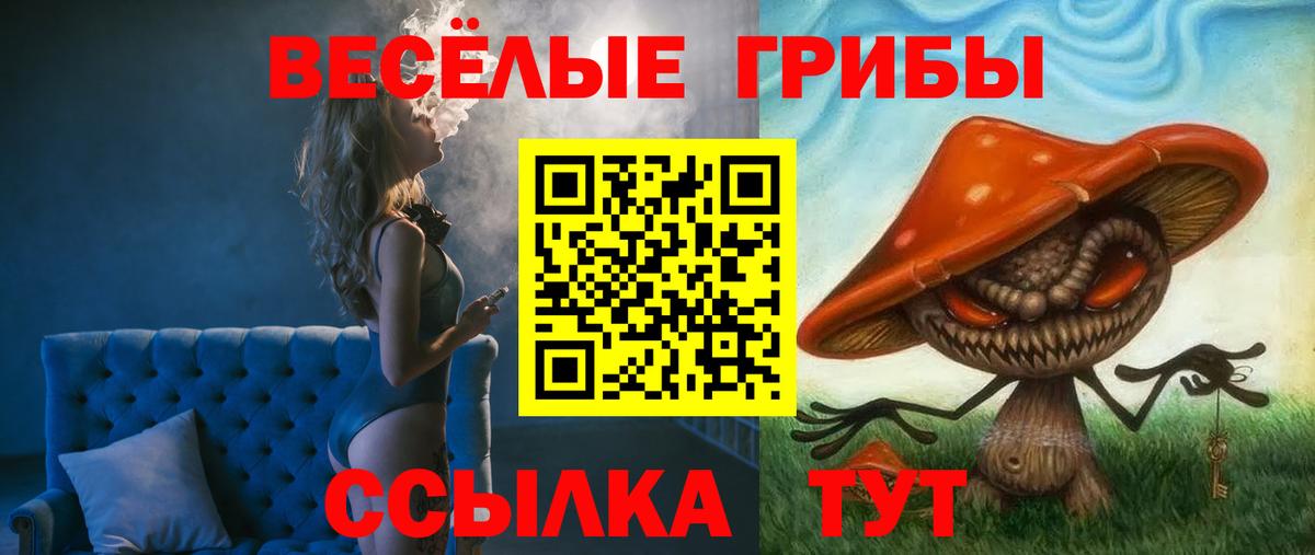 Псилоцибиновые грибы GOLDEN TEACHER  Вход с VPN  Галлюциногенные грибы прущие грибы  Евпатория 